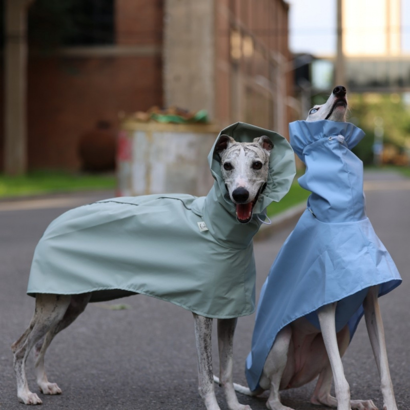 Dog Raincoat - Однотонный дождевик для итальянского грейхаунда и