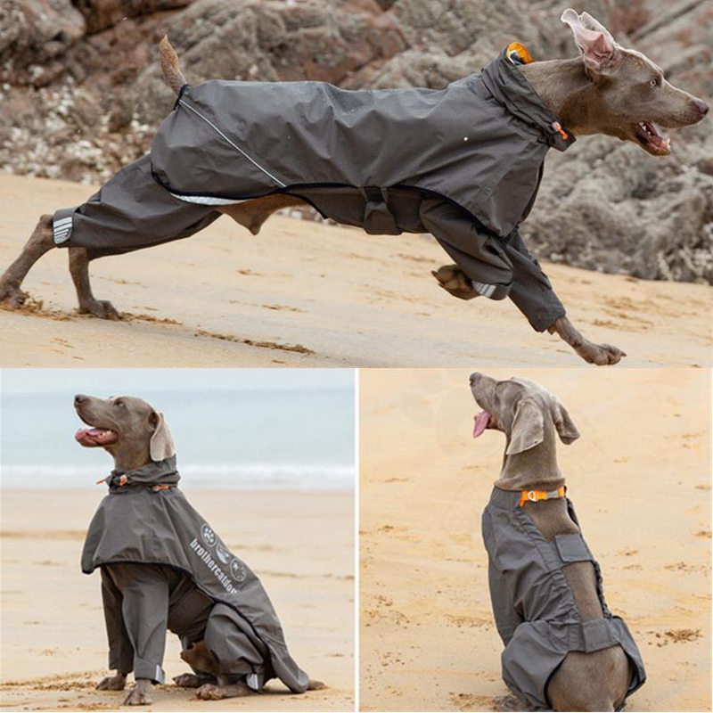Dog Raincoat - Водонепроницаемый плащ для собак, комбинезон для