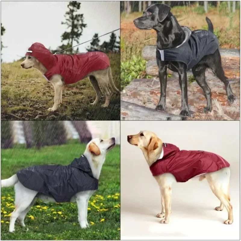 Водонепроницаемая куртка с кап – обзор и цена Dog Raincoat