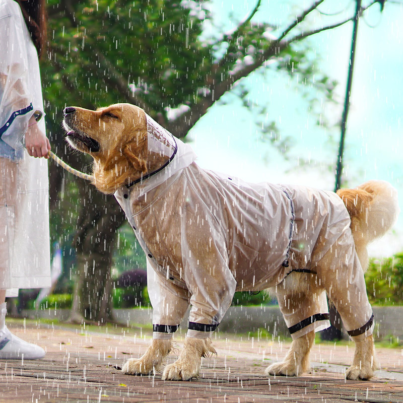 Водонепроницаемый плащ для соб – обзор и цена Dog Raincoat