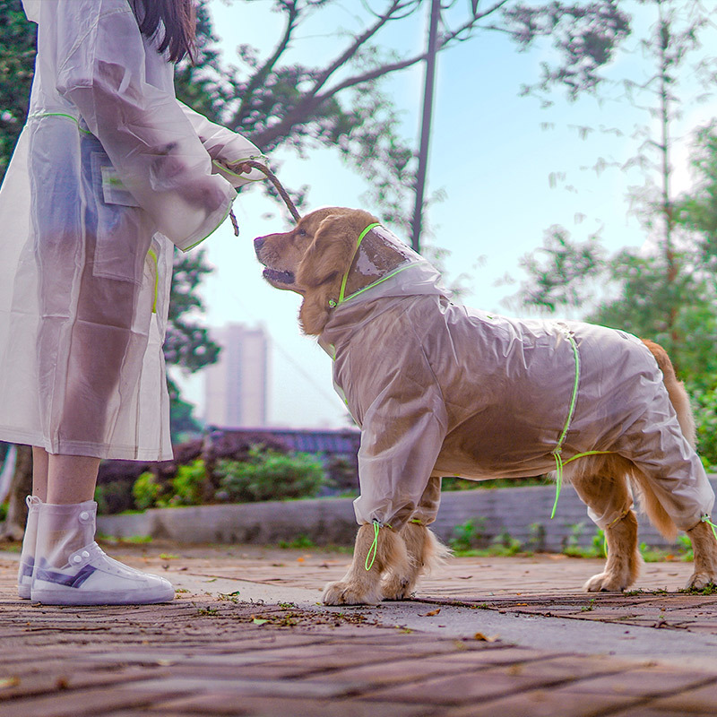 Водонепроницаемый плащ для соб – обзор и цена Dog Raincoat