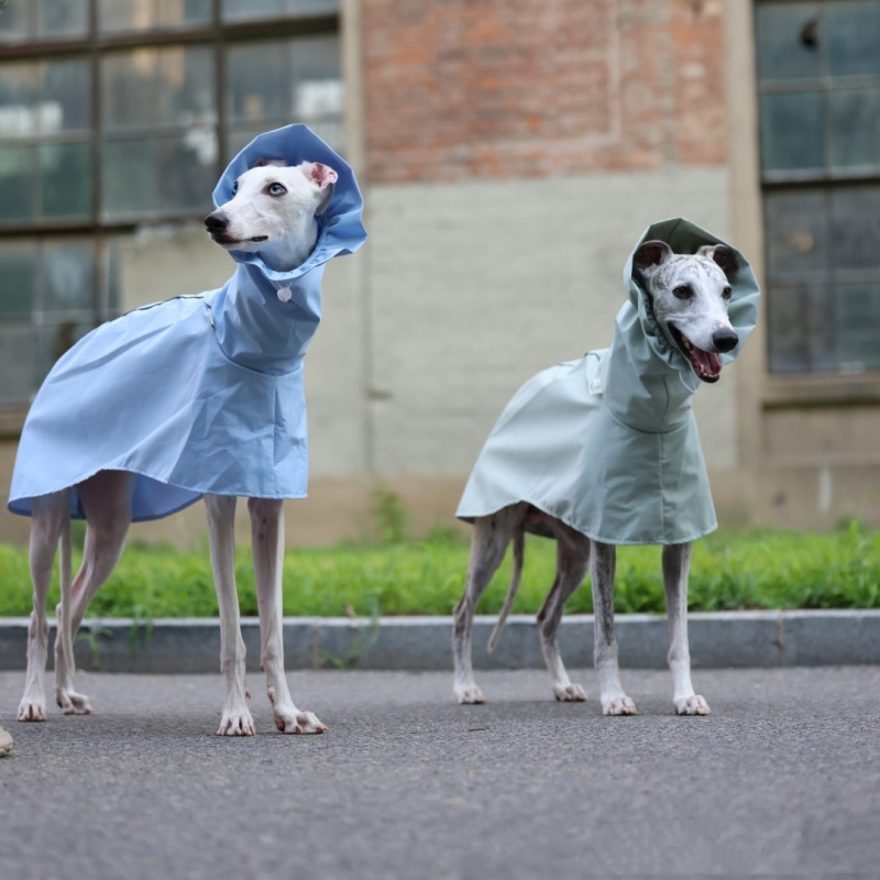 Однотонный дождевик для италья – обзор и цена Dog Raincoat