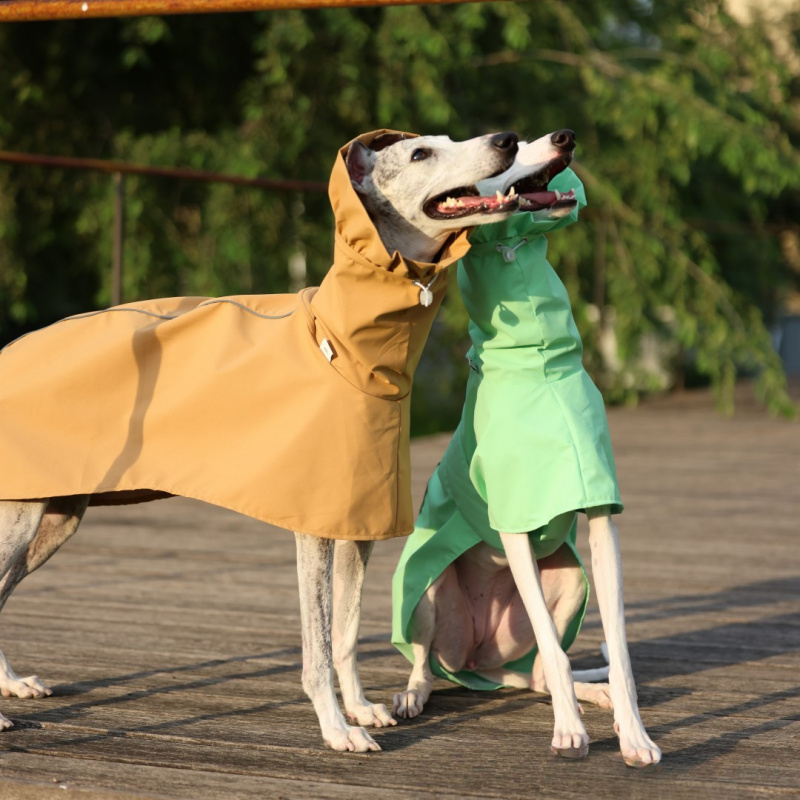 Однотонный дождевик для италья – обзор и цена Dog Raincoat