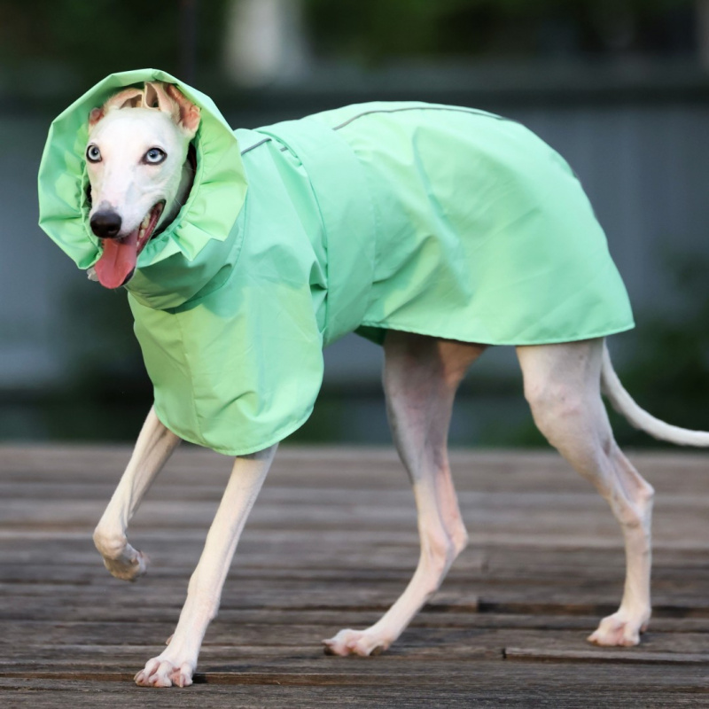Однотонный дождевик для италья – обзор и цена Dog Raincoat