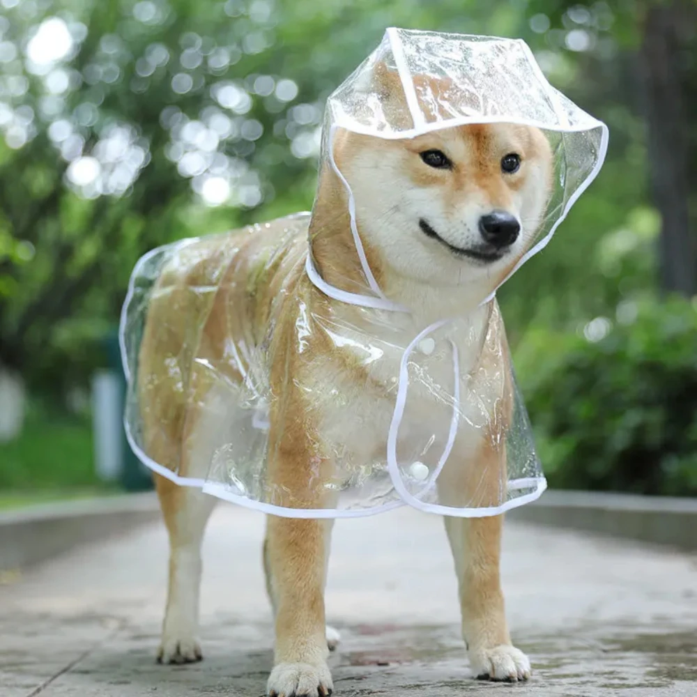 Плащ для собак, прозрачная дож – обзор и цена Dog Raincoat