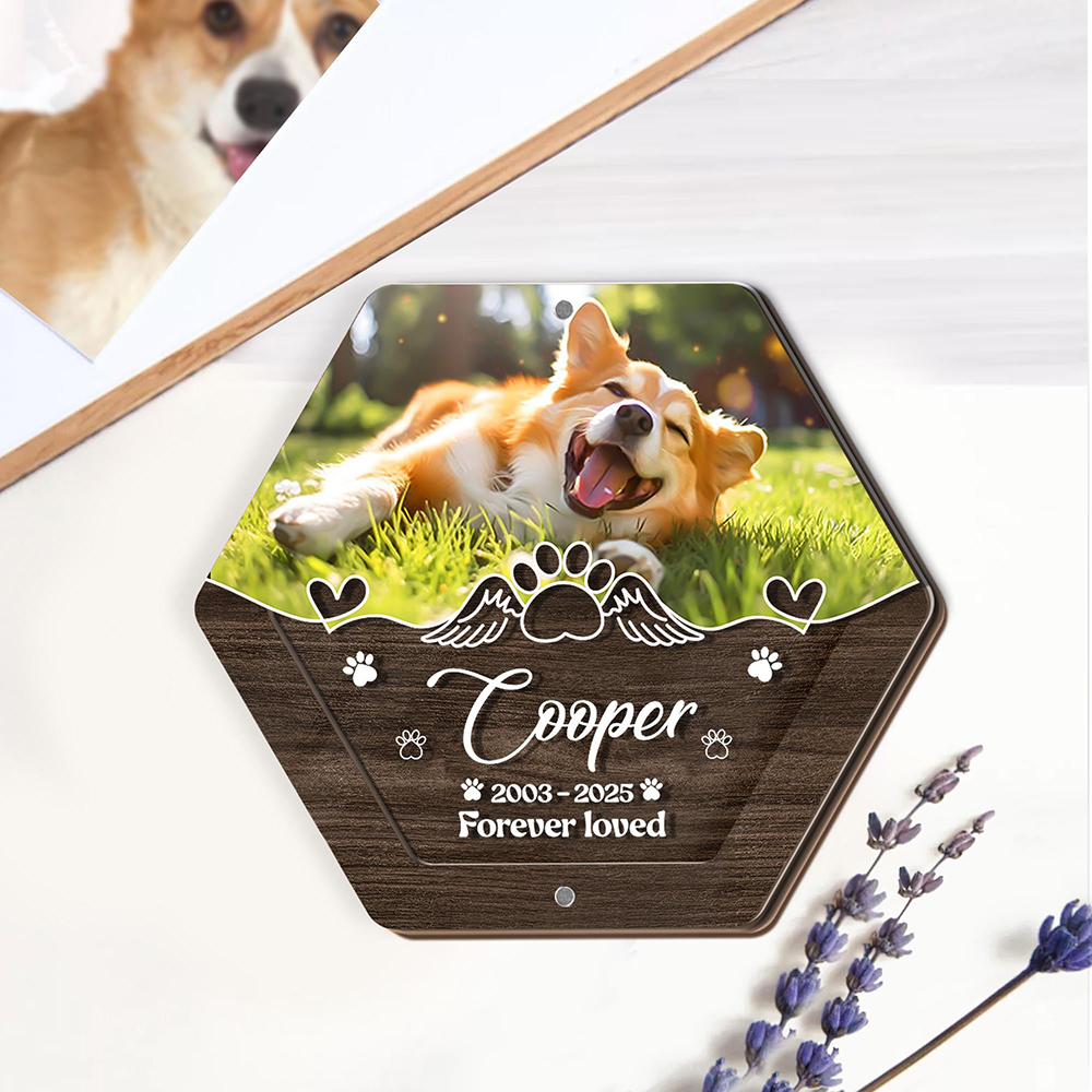 Персонализированное имя, дерев – обзор и цена Pet Supplies Vending Machine