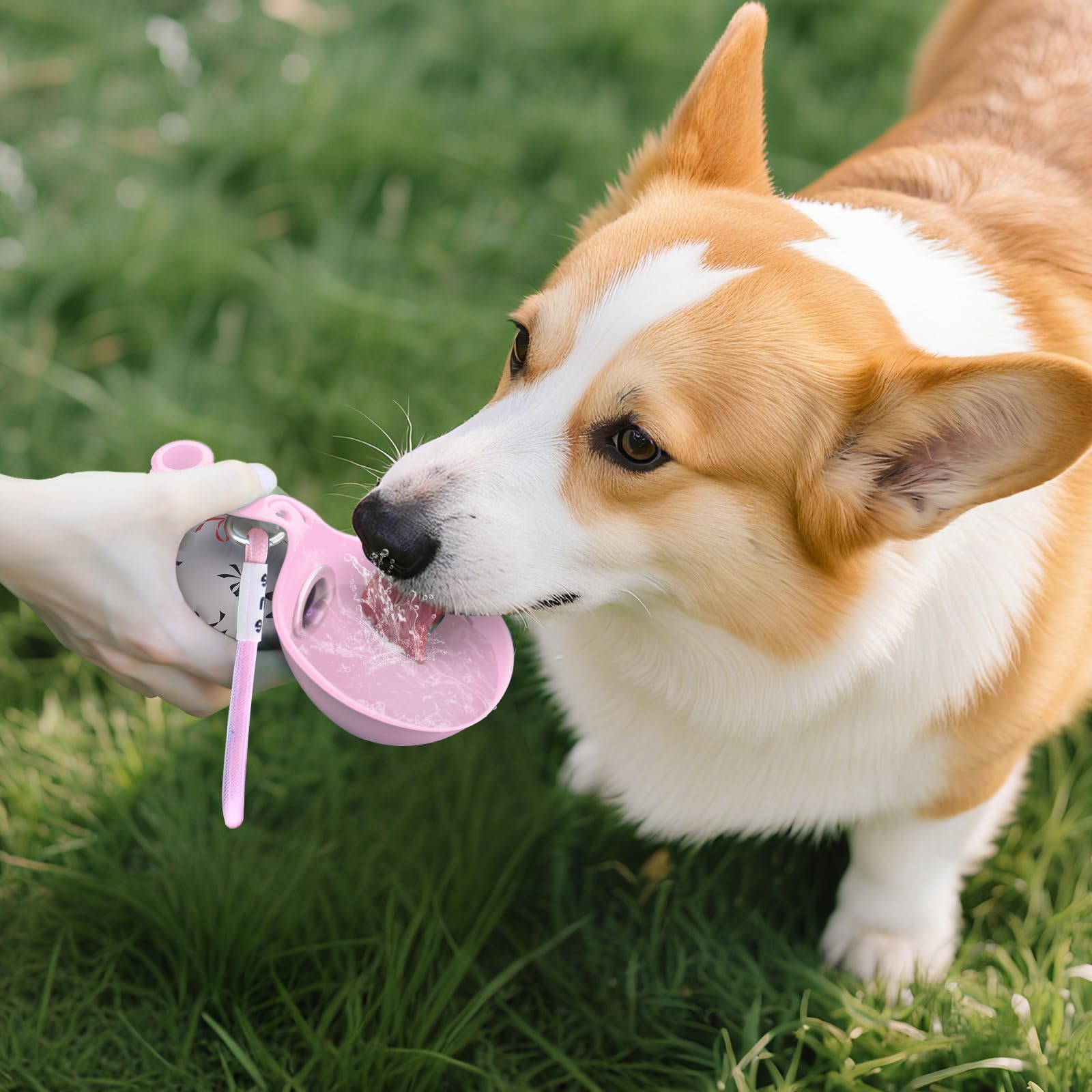 Портативная бутылка для воды 2 – обзор и цена Pet Supplies Dropshipping