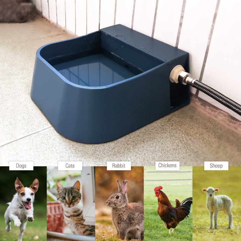Автоматическая поилка для дома – обзор и цена Pet Supplies Unlimited