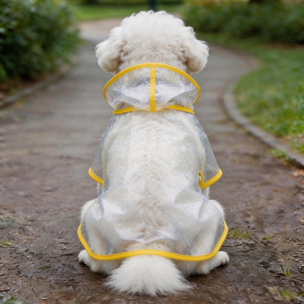 Прозрачный дождевик для собак, – обзор и цена Dog Raincoat