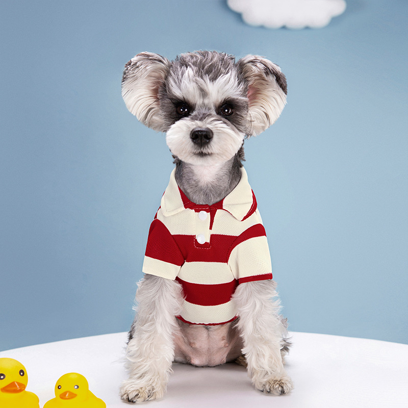 Футболка-поло для собак: летня – обзор и цена Pet Supplies Co