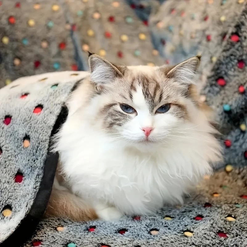 3 шт. мягкое пушистое одеяло д – обзор и цена Pet Supplies Vending Machine