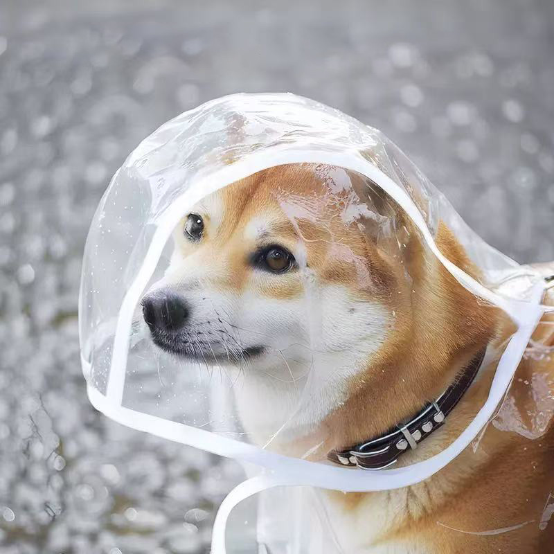 Дождевик для собак XS-8XL, про – обзор и цена Dog Raincoat