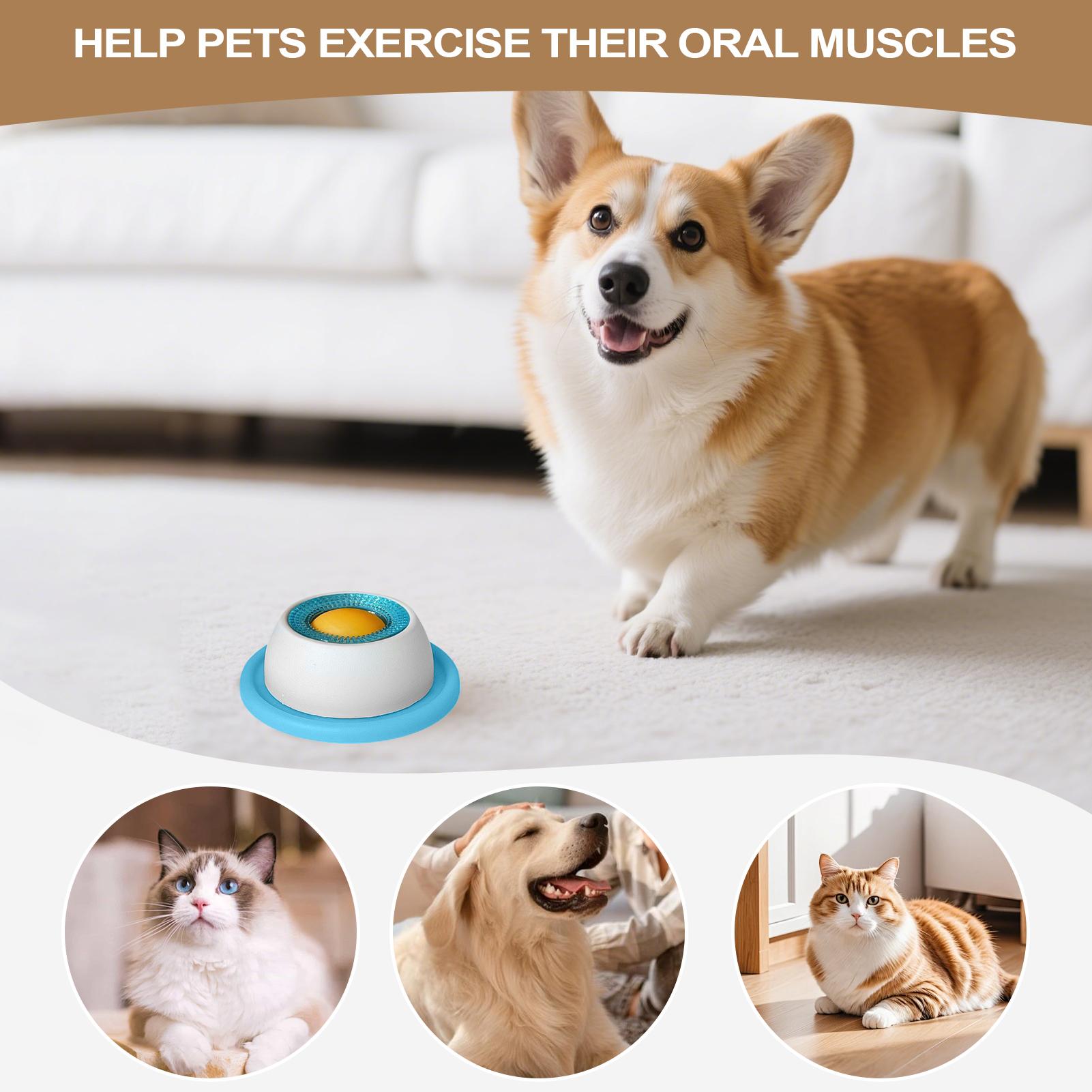 Игрушка-головоломка для собак: – обзор и цена Dog Treat Puzzle Toy